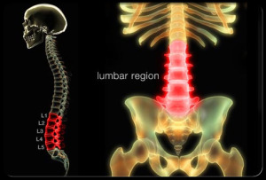 mid back pain living with back pain