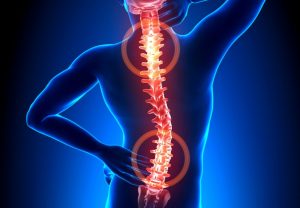what causes back pain